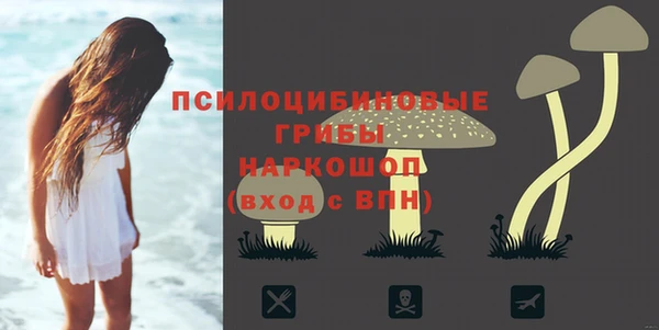 гидра Беломорск