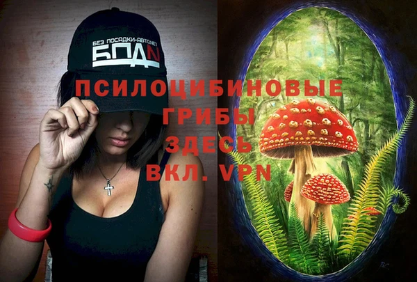 прущая мука Белокуриха