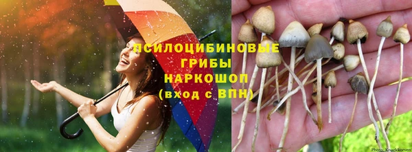 гидра Беломорск